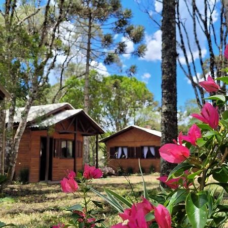 Cabanas Dos Pinheiros São Francisco de Paula Eksteriør bilde