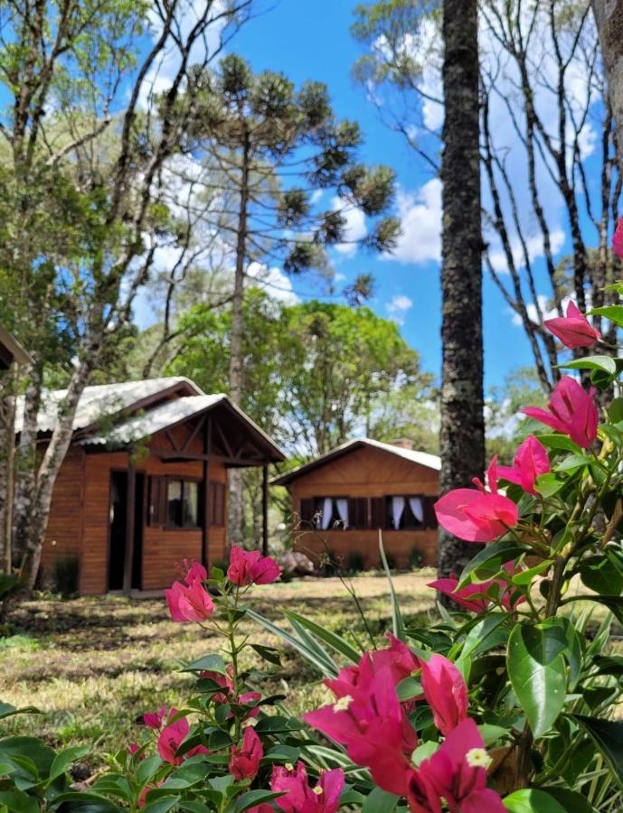 Cabanas Dos Pinheiros São Francisco de Paula Eksteriør bilde