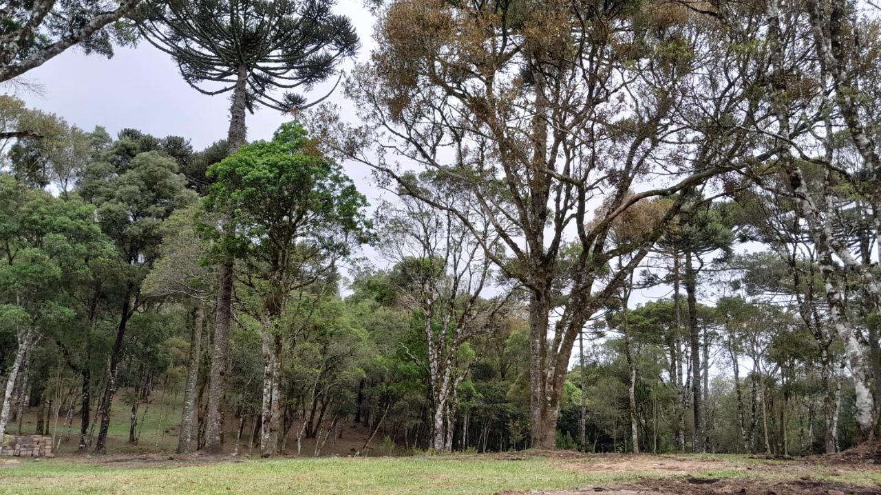 Cabanas Dos Pinheiros São Francisco de Paula Eksteriør bilde
