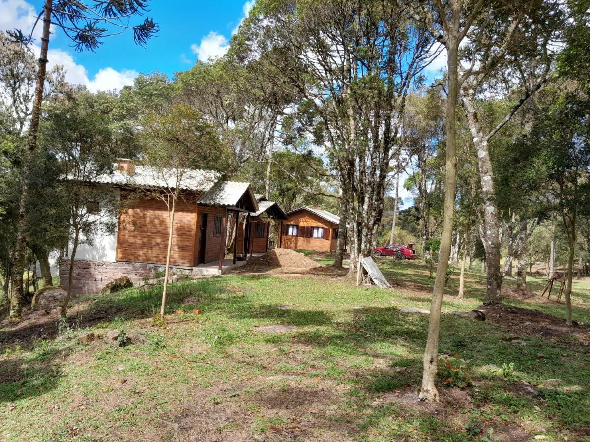 Cabanas Dos Pinheiros São Francisco de Paula Eksteriør bilde