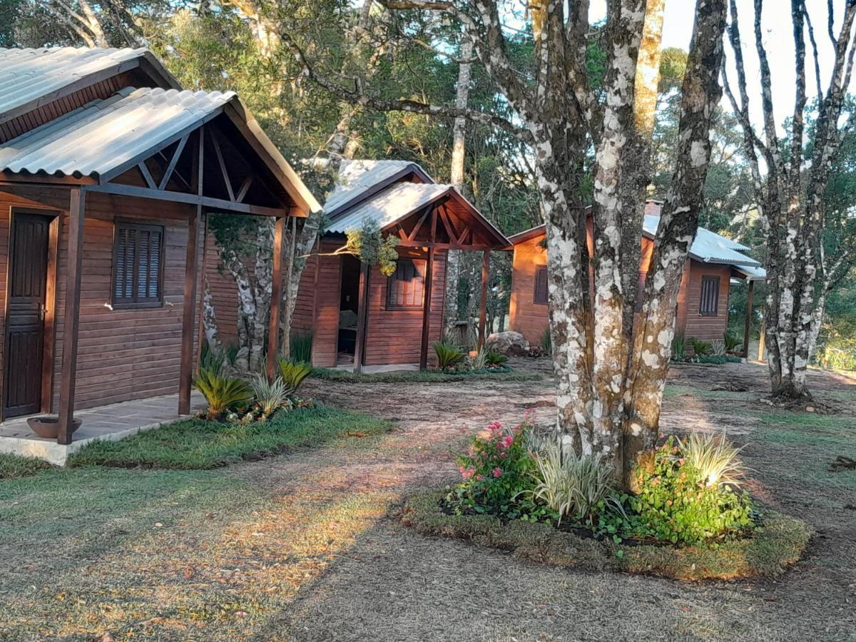 Cabanas Dos Pinheiros São Francisco de Paula Eksteriør bilde