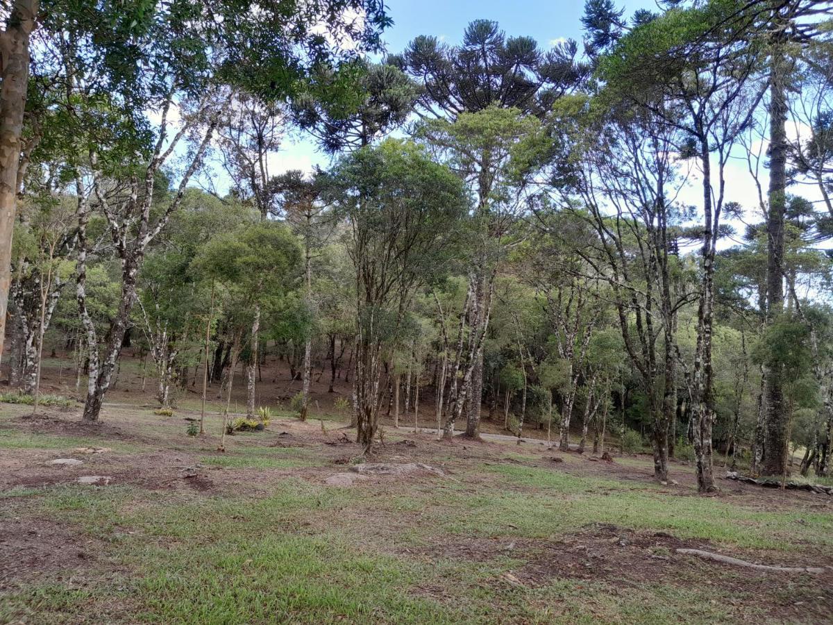 Cabanas Dos Pinheiros São Francisco de Paula Eksteriør bilde
