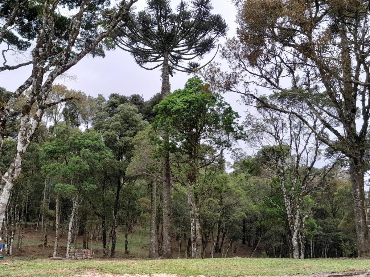 Cabanas Dos Pinheiros São Francisco de Paula Eksteriør bilde