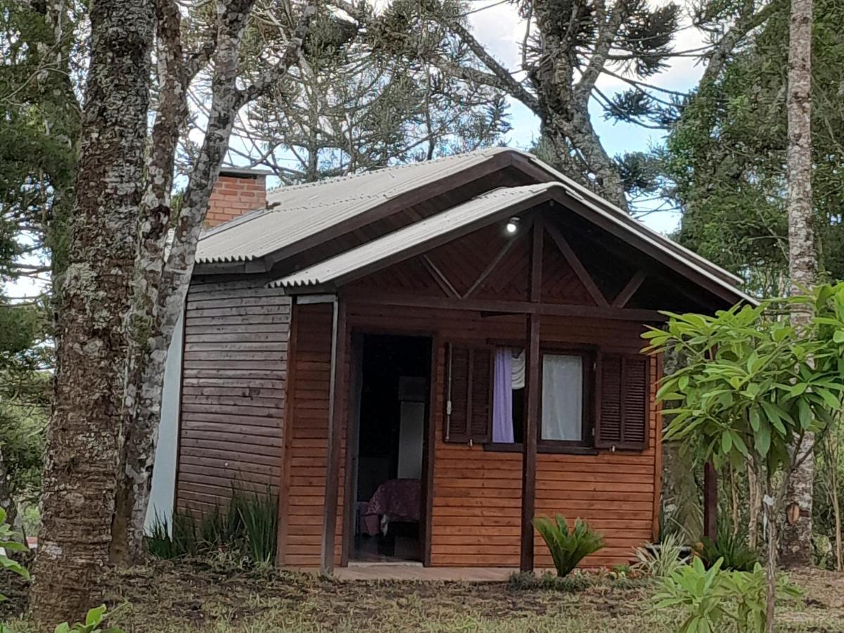 Cabanas Dos Pinheiros São Francisco de Paula Eksteriør bilde