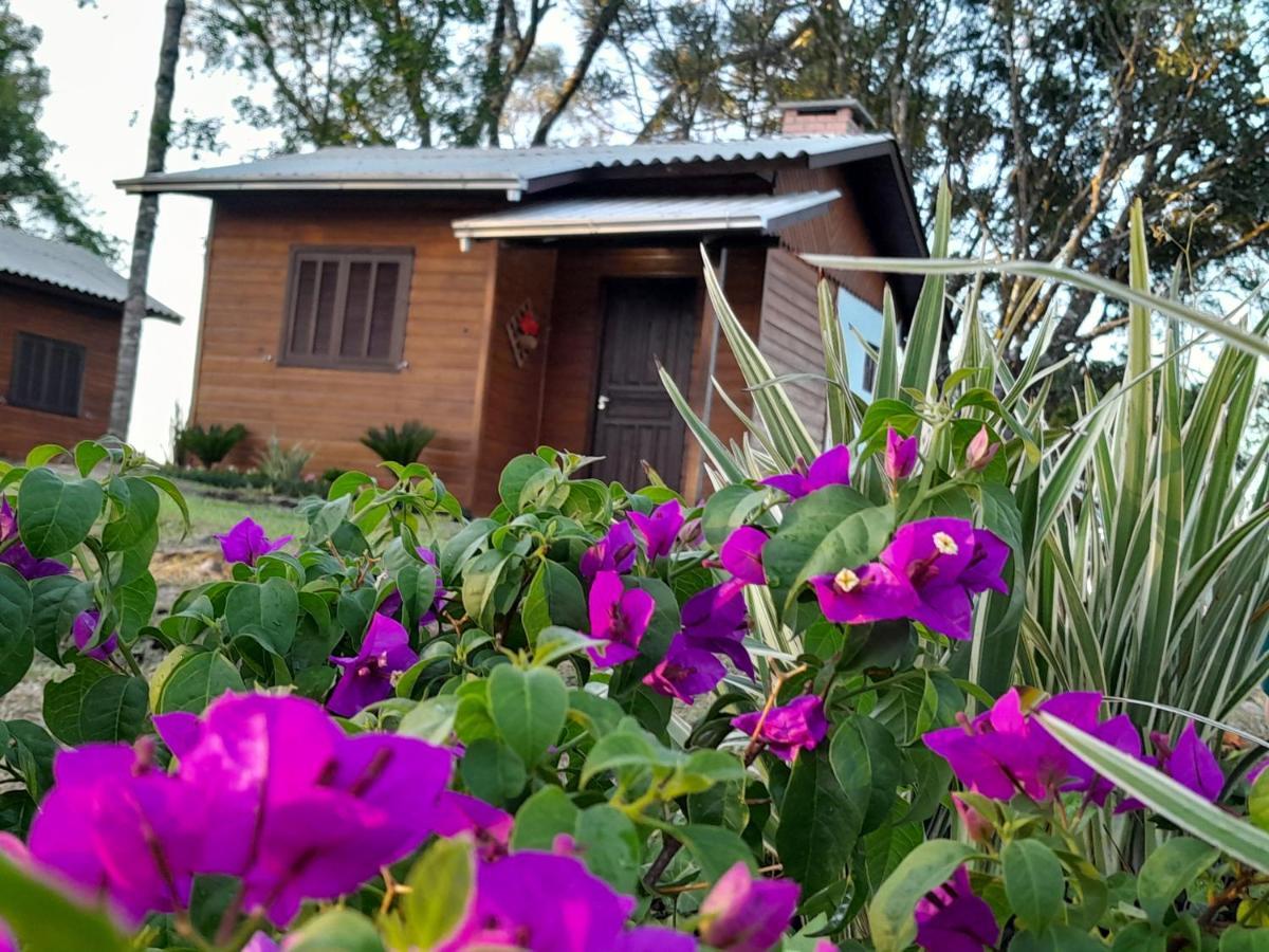 Cabanas Dos Pinheiros São Francisco de Paula Eksteriør bilde