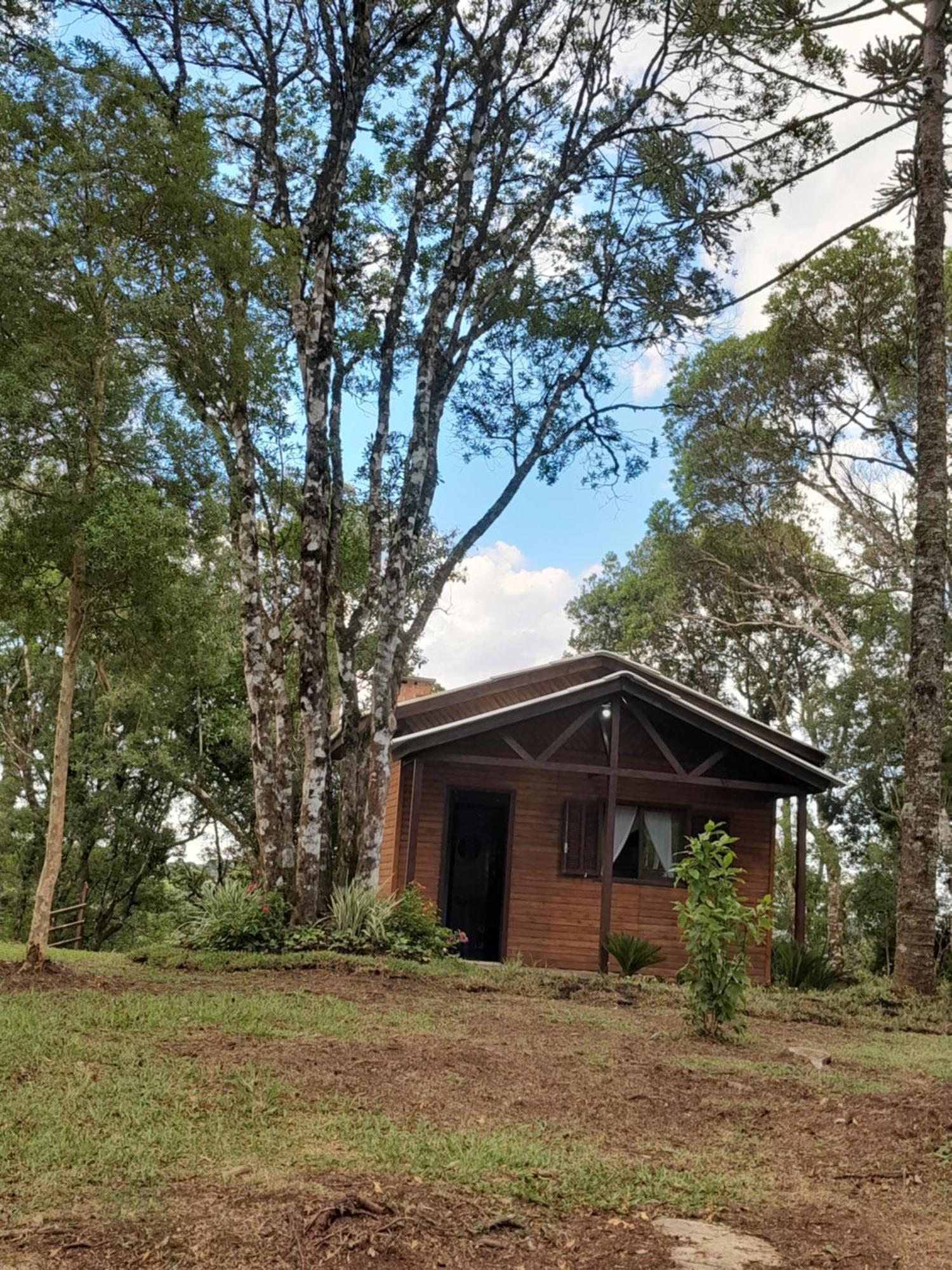 Cabanas Dos Pinheiros São Francisco de Paula Rom bilde