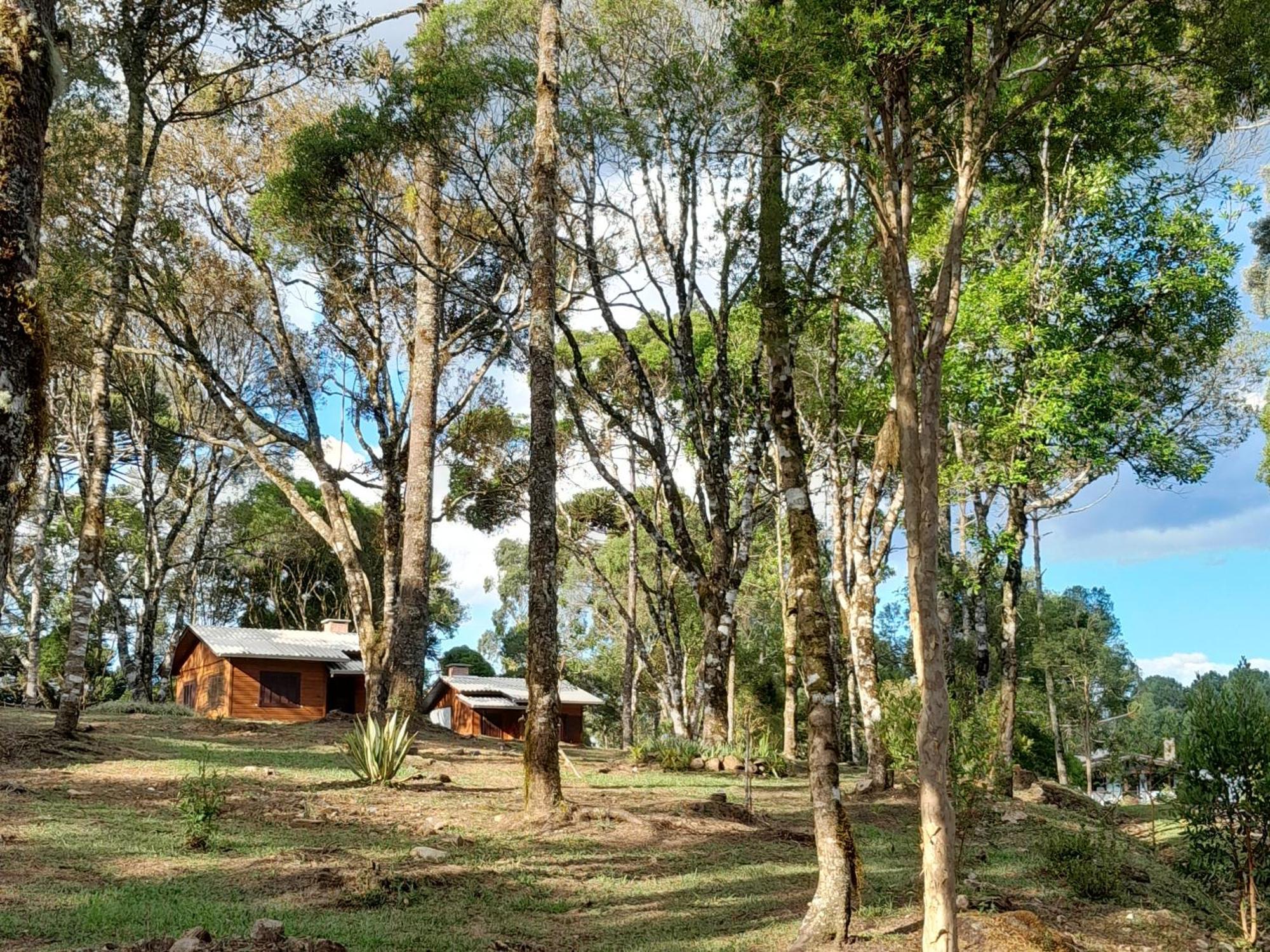 Cabanas Dos Pinheiros São Francisco de Paula Rom bilde