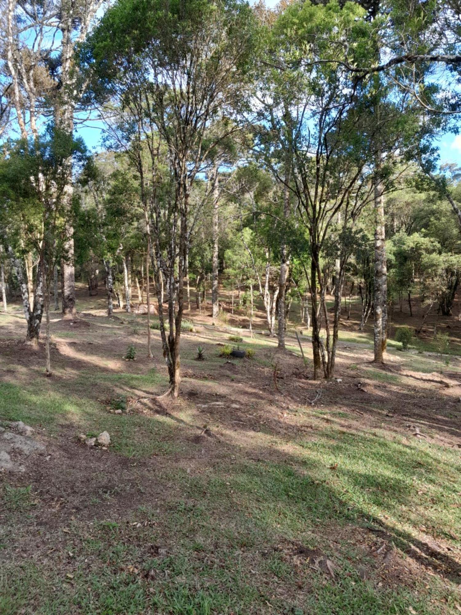 Cabanas Dos Pinheiros São Francisco de Paula Rom bilde