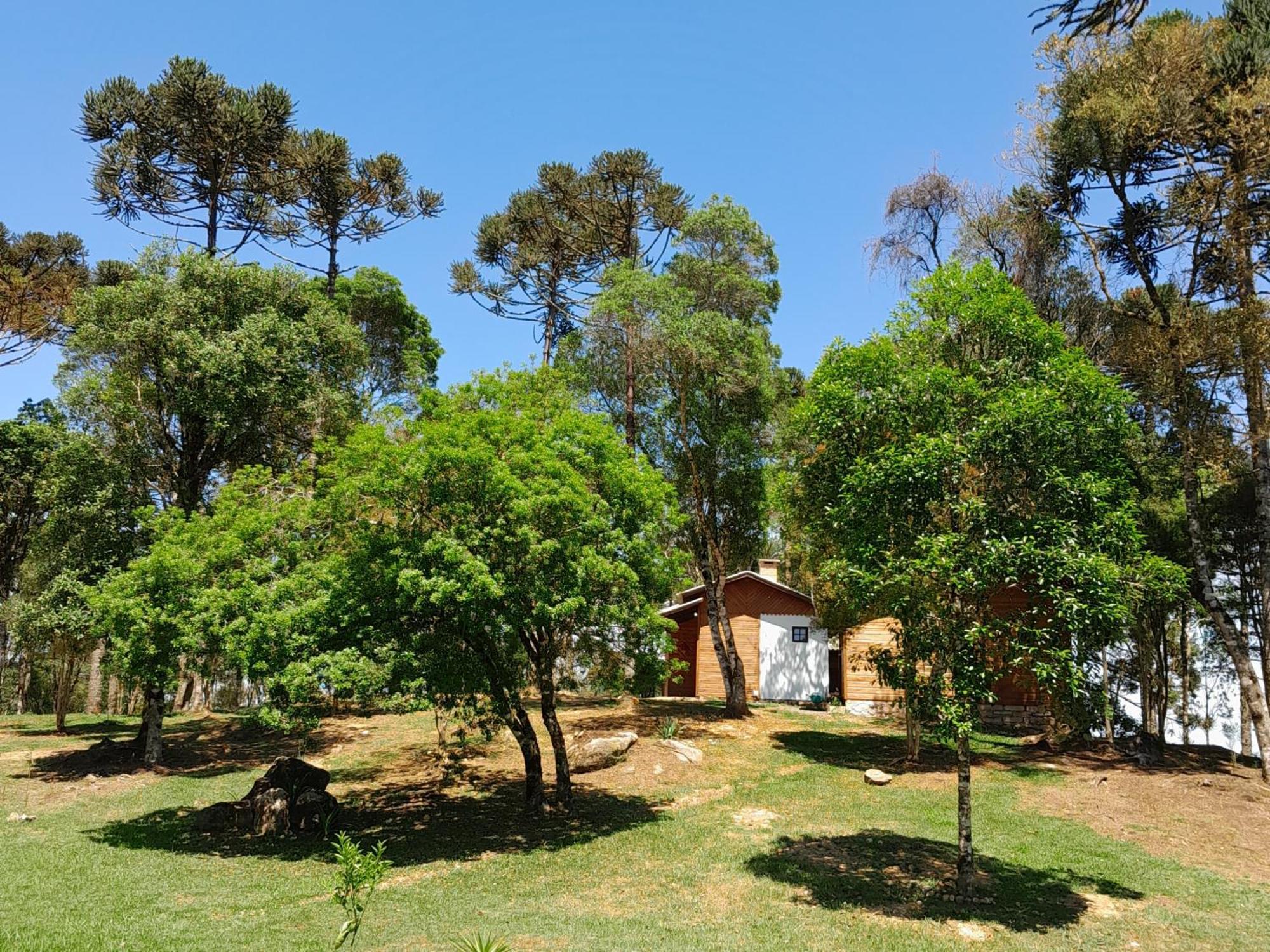 Cabanas Dos Pinheiros São Francisco de Paula Rom bilde