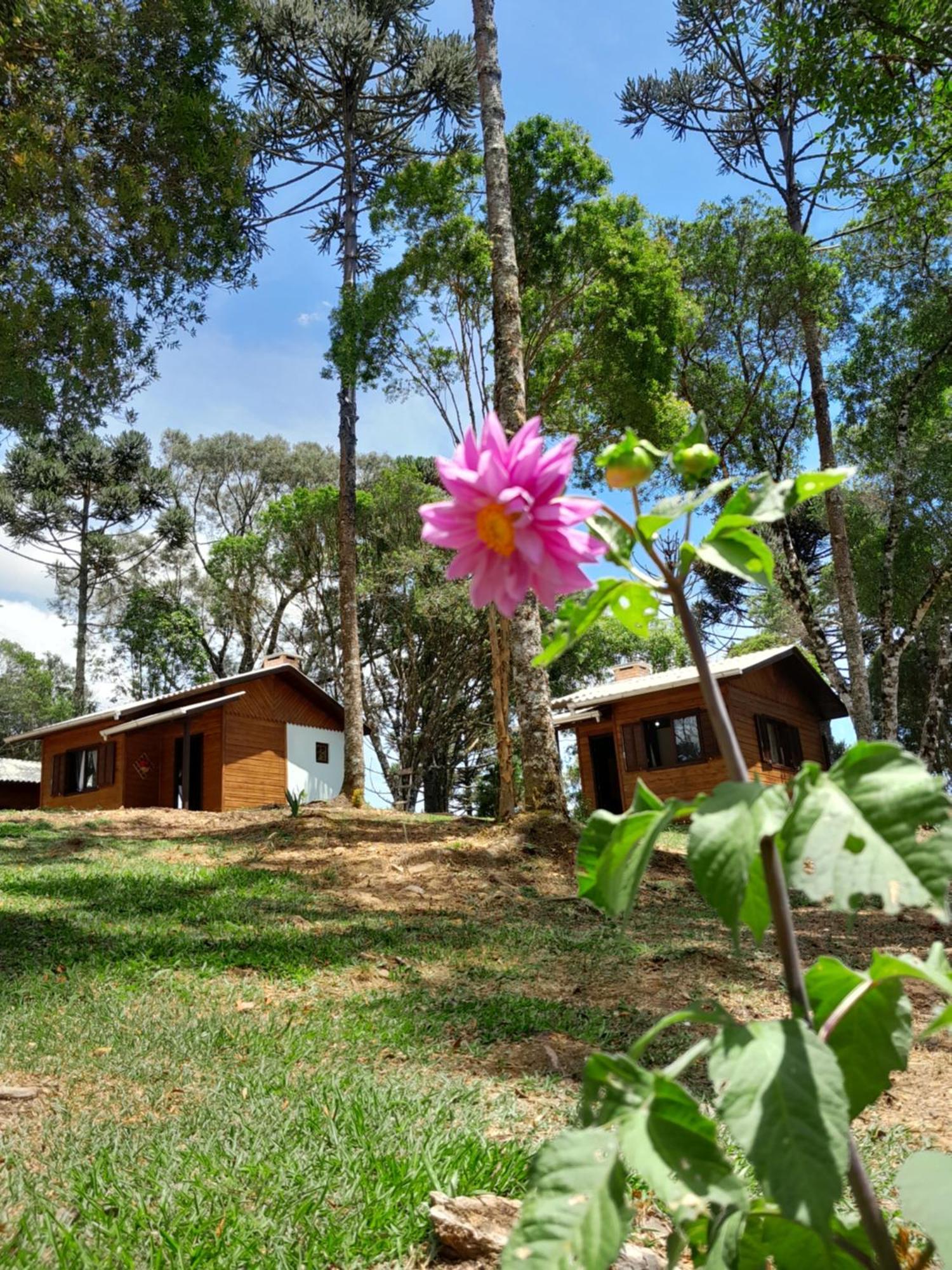 Cabanas Dos Pinheiros São Francisco de Paula Rom bilde